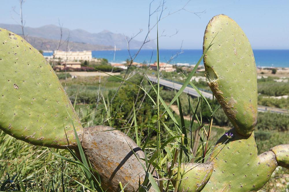 Appartaville Castellammare Del Golfo Exteriör bild